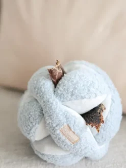 Jouet interactif pour chien - Monti - Bleu Ciel