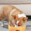 Jouet interactif pour chien - Takoyaki - HugSmart