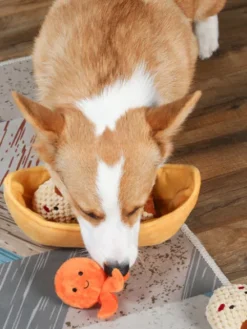 Jouet interactif pour chien - Takoyaki - HugSmart