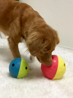 Jouet interactif / puzzle pour chien - Treat Tumble S - Niveau 1