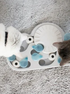 Jouet interactif / puzzle pour Chat - Rainy Day - 14 cachettes