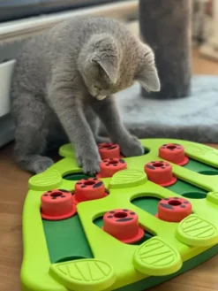 Jouet interactif / puzzle pour Chat - Buggin' Out - Niveau 2