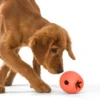 Jouet interactif puzzle pour chien - Rumbl Zogoflex - Orange - Eco-friendly