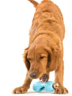 Jouet interactif puzzle pour chien - Qwizl Zogoflex - Bleu - Eco-friendly