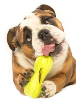 Jouet interactif puzzle pour chien - Qwizl Zogoflex - Vert - Eco-friendly