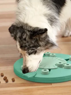 Jouet interactif / puzzle pour chien - Dog Worker - Niveau 3