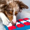 Jouet interactif / puzzle pour chien - Dog Brick - Niveau 2