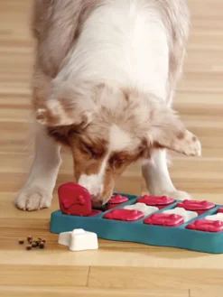 Jouet interactif / puzzle pour chien - Dog Brick - Niveau 2