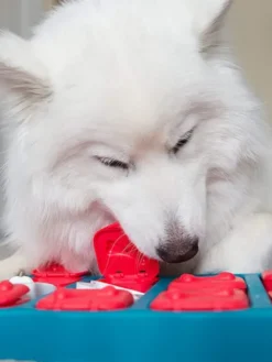 Jouet interactif / puzzle pour chien - Dog Brick - Niveau 2