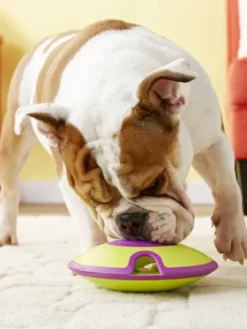 Jouet interactif / puzzle pour chien - Treat Maze - Niveau 2