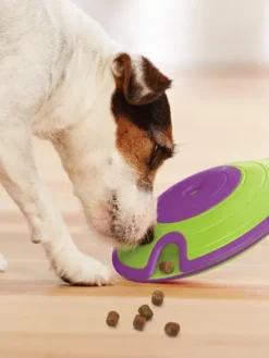 Jouet interactif / puzzle pour chien - Treat Maze - Niveau 2