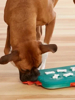 Jouet interactif / puzzle pour chien - Dog Casino - Niveau 3