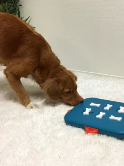 Jouet interactif / puzzle pour chien - Dog Casino - Niveau 3