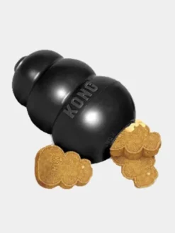 Jouet KONG Extreme à mâcher pour chien - Taille S M et L