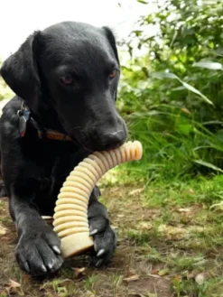 Jouet à mâcher ou à lécher pour chien - Dental Antler XL - SodaPup