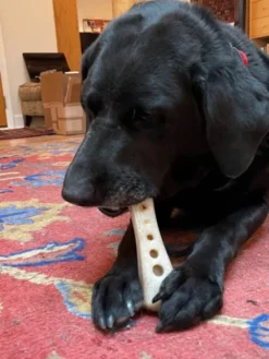 Jouet à mâcher ou à lécher pour chien - Os à garnir - SodaPup