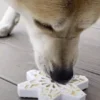 Jouet à mâcher ou à lécher pour chien - Flocon de Neige - SodaPup