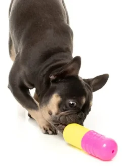 Jouet à mâcher pour chien - Chill Pill 💊 - Fuzzyard