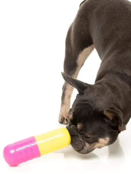 Jouet à mâcher pour chien - Chill Pill 💊 - Fuzzyard