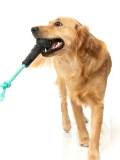 Jouet à mâcher pour chien - Micro 🎤 - Fuzzyard
