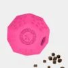Jouet occupation pour chien - Dodecaball Rose - Kiwi Walker