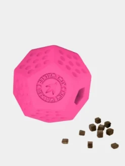 Jouet occupation pour chien - Dodecaball Rose - Kiwi Walker