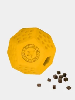 Jouet occupation pour chien - Dodecaball Orange - Kiwi Walker