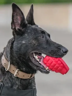 Jouet occupation pour chien - Grenade - SodaPup