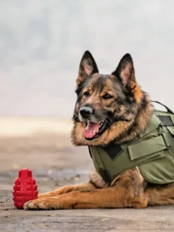 Jouet occupation pour chien - Grenade - SodaPup