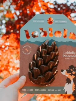 Jouet occupation pour chien - Pomme de Pin - Loblola