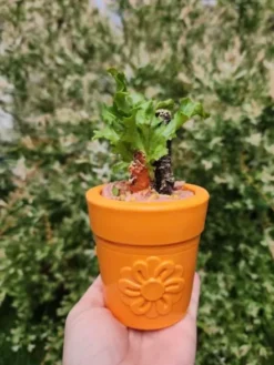 Jouet occupation pour chien - Pot de Fleur Orange - SodaPup