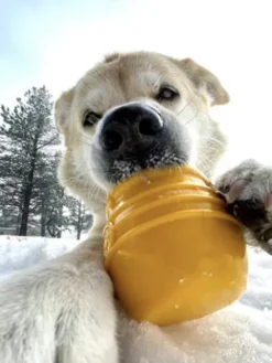 Jouet occupation pour chien - Pot de Miel (2 tailles) - SodaPup