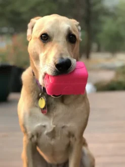 Jouet occupation pour chien - Retro Van - SodaPup