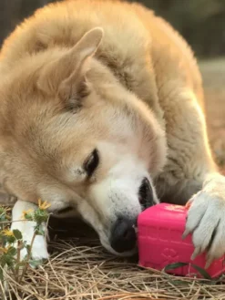 Jouet occupation pour chien - Retro Van - SodaPup