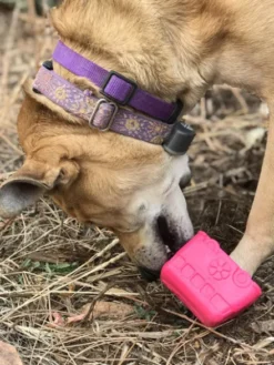 Jouet occupation pour chien - Retro Van - SodaPup