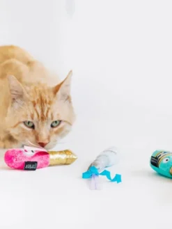 Jouet pour chat - Assortiment de vins 🍷 - Pet PLAY