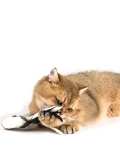 Jouet pour chat en laine naturelle - Comète