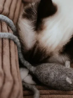 Jouet pour chat en laine - Souris avec ficelle 🐁 - Hunter stylecats