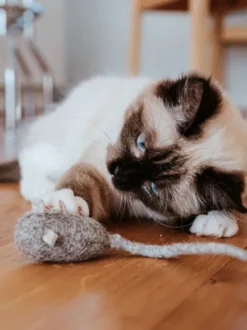 Jouet pour chat en laine - Souris avec ficelle 🐁 - Hunter stylecats