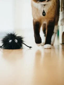 Jouet pour chat - Herbe à chat biologique - Frisky Furball - Pet PLAY