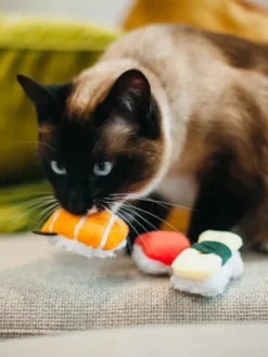 Jouet pour chat - Herbe à chat biologique - Sushi - Pet PLAY