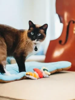 Jouet pour chat - Herbe à chat biologique - Sushi - Pet PLAY