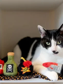 Jouet pour chat - Killer Cat - Explosif - Herbe à chat biologique - Pet PLAY