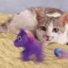 Jouet pour chat Licorne Enchantée - KONG Enchanted Buzzy Unicorn