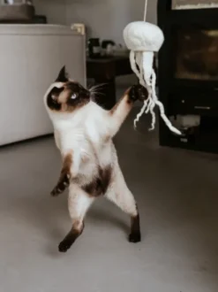 Jouet pour chat - Méduse en laine 🪼 - Hunter stylecats
