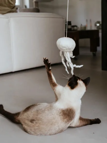 Jouet pour chat - Méduse en laine 🪼 - Hunter stylecats
