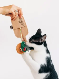 Jouet pour chat - Plateau de charcuterie 🥓 - Pet PLAY
