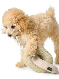 Jouet pour chien avec corde et sans couineur - Madrid Anneaux - Hunter