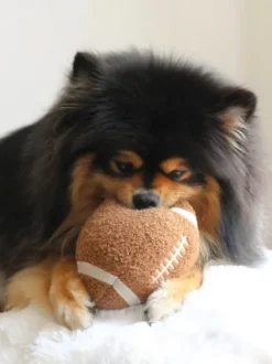 Jouet pour chien - Ballon Foot US 🏈 - Lambwolf Collective