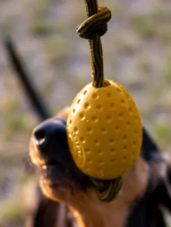 Jouet pour chien haute densité avec corde - Egg (2 coloris disponible)